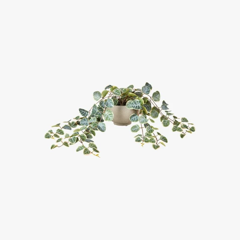 8" Potted Faux Eucalyptus Plant - Realistic Home Decor Accessory - Image 3