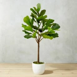 5' Potted Faux Fiddle Leaf Fig Tree - Lifelike Home Décor | Indoor Plant for Modern Spaces