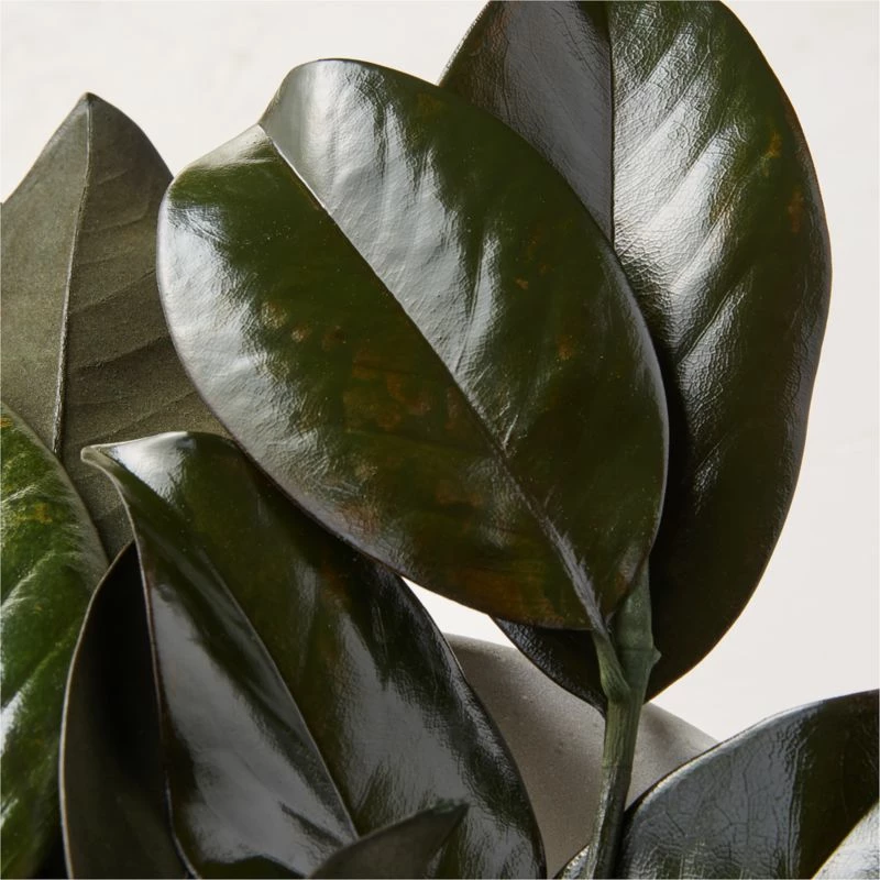 Set of 3 Preserved Magnolia Stems - Elegant Home Accessories - Image 2