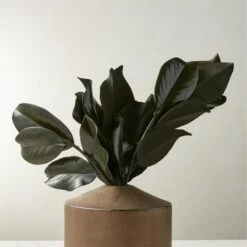 Set of 3 Preserved Magnolia Stems - Elegant Home Accessories