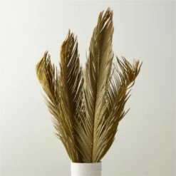 Sago Dried Palm Leaf Bunch 27"-34" | Natural Home Decor | Eco-Friendly Accessories
