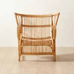 Wengler Rattan Lounge Chair - Stylish & Comfortable Living Room Furniture